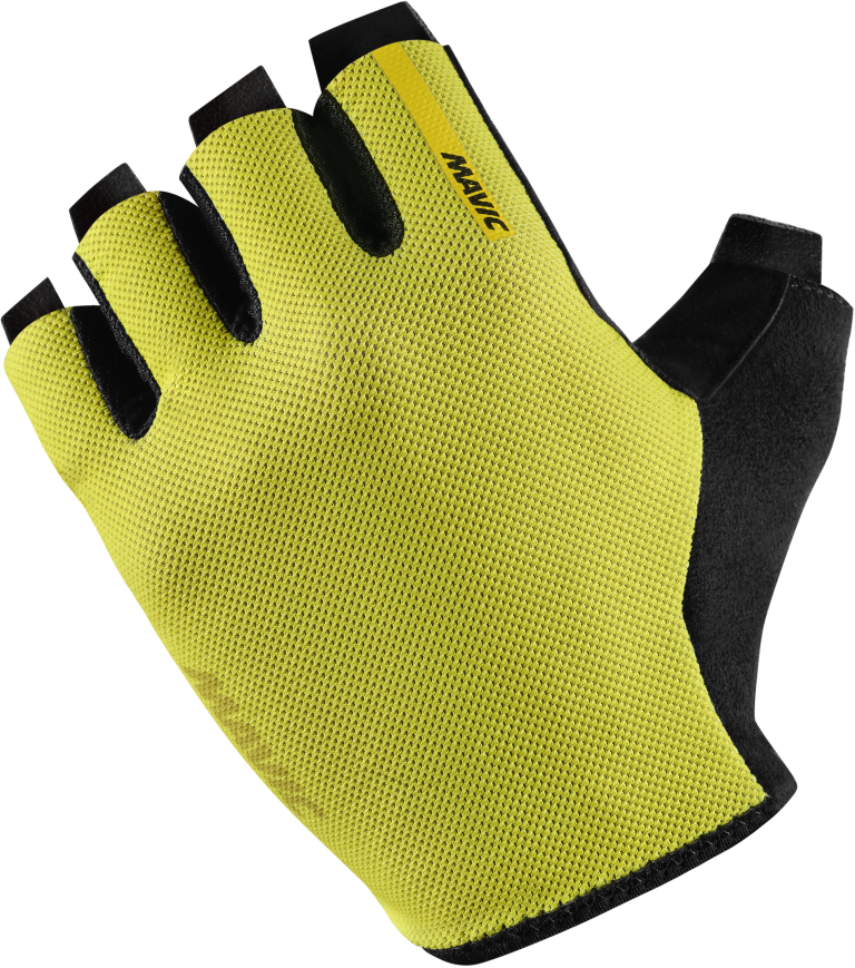 ESSENTIAL GLOVE